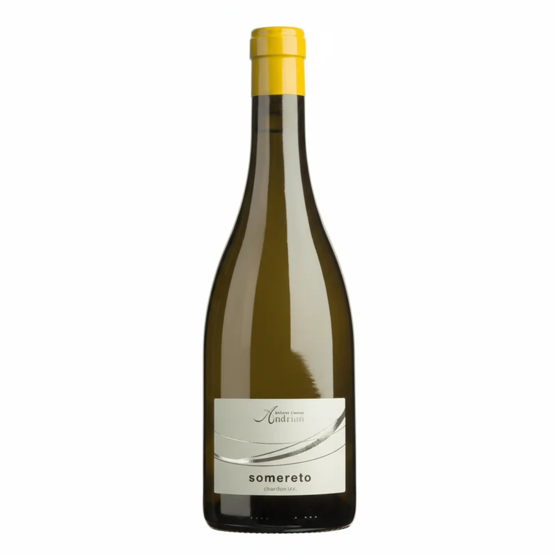 Somereto Chardonnay 2021 | Cantina Andrian | Südtirol | Weißwein