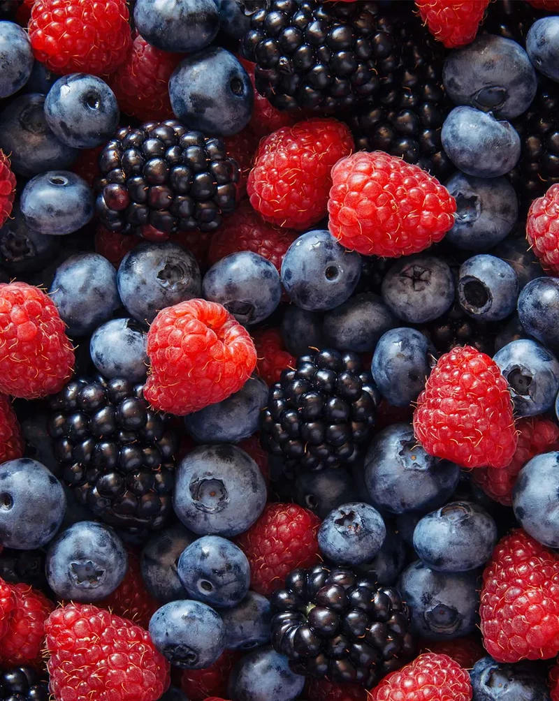 BITTER WILD BERRY