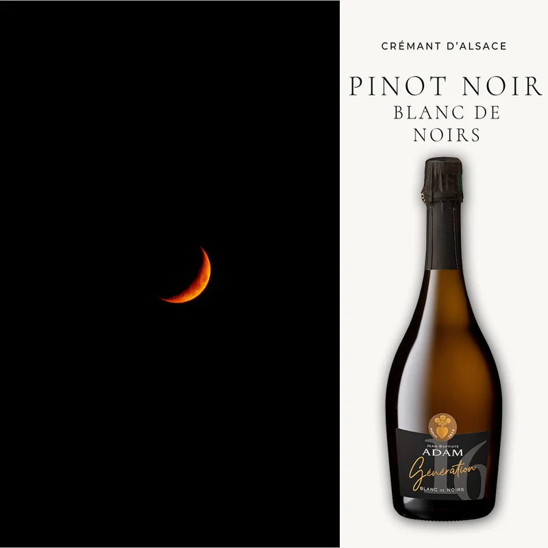 Sehr guter Crémant d'Alsace blanc de noirs - 0,75L