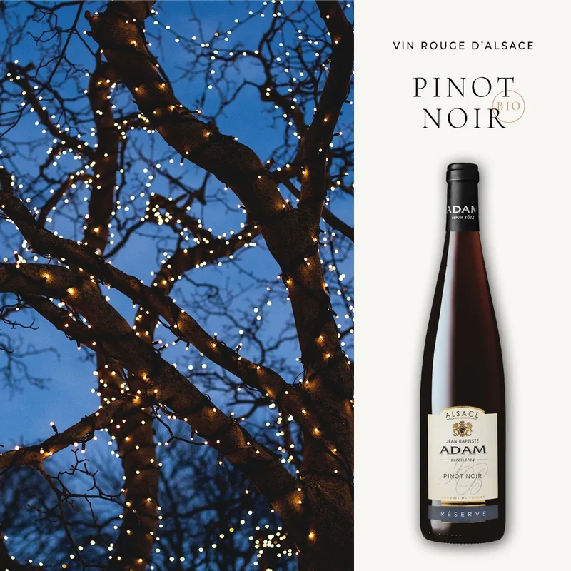 2022 Pinot Noir Réserve - 0,75L