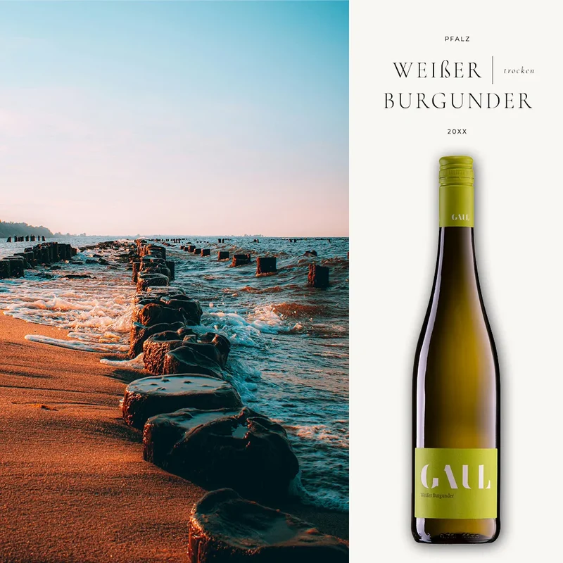 Guter Weißburgunder trocken 2025: Weingut Gaul, Pfalz - 0,75L