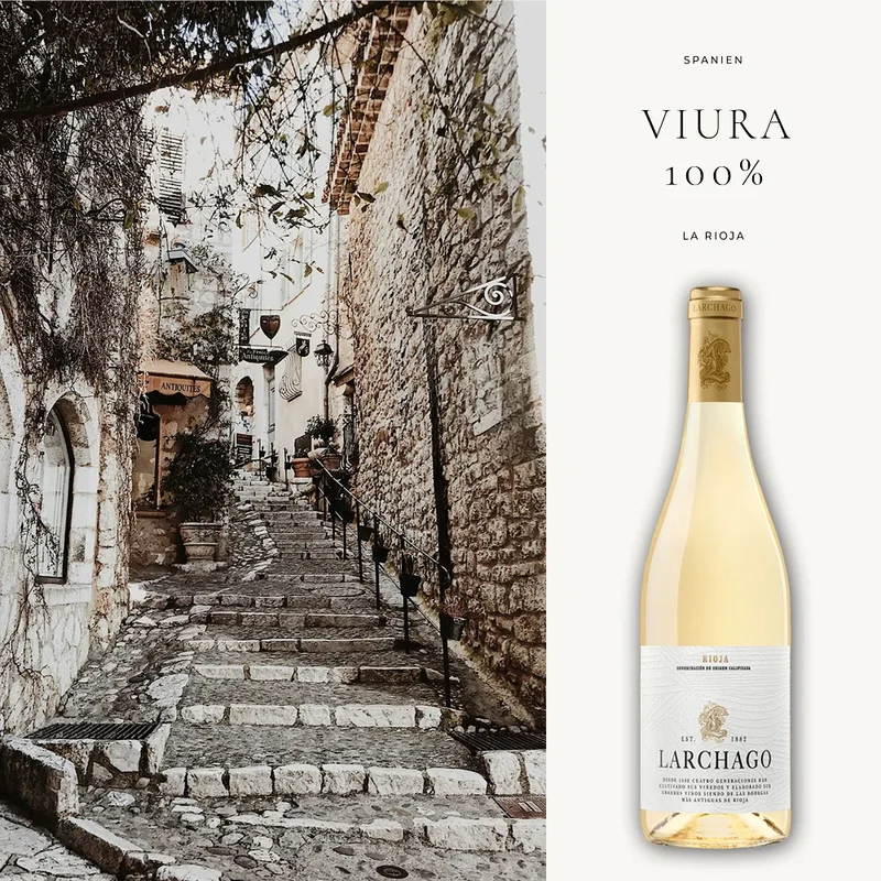 Rioja Weißwein trocken: Larchago - 0,75L