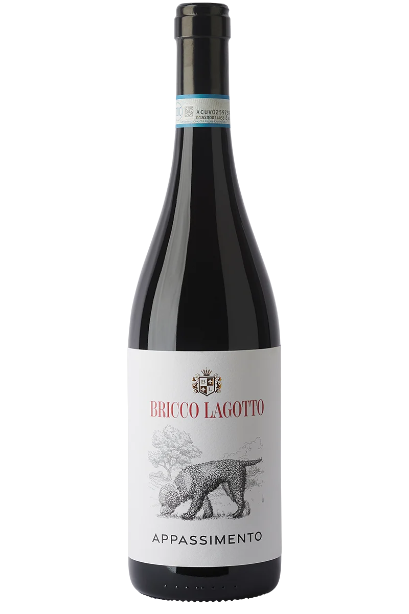 Bricco Lagotto Appassimento Barbera Passito Piemonte DOC 2023