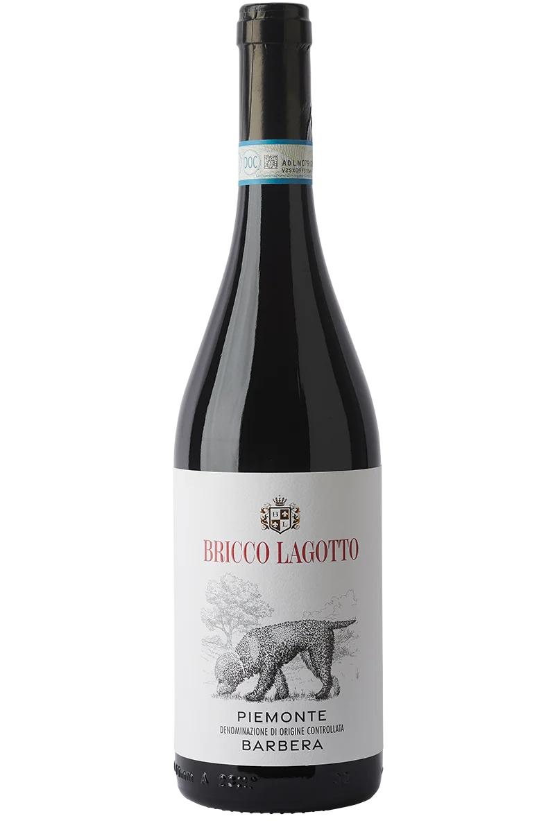 Bricco Lagotto Barbera Piemonte DOC 2023