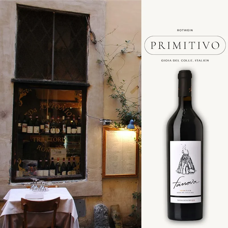 Primitivo Fanova DOC 2023 - 0,75 L