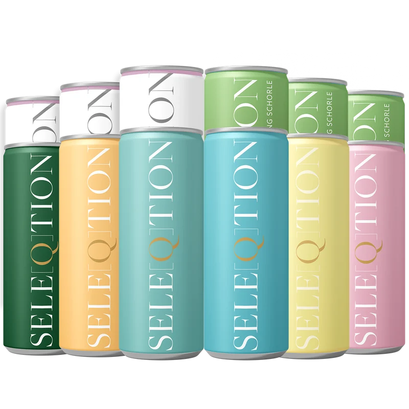 12er TASTING BOX 2 - 12x Dosen