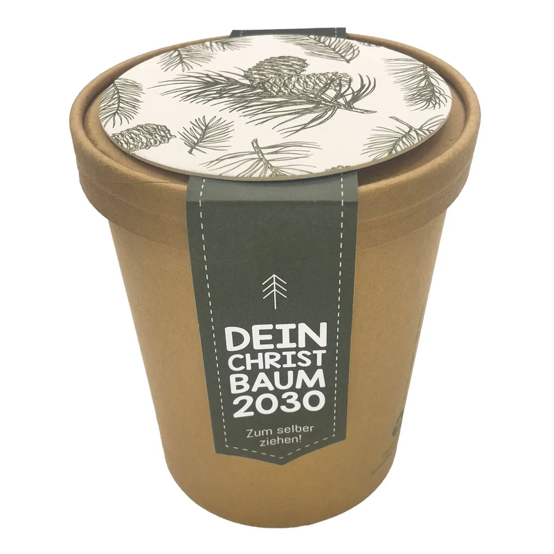 Dein Weihnachtsbaum 2030 - pflanz deinen eigenen Weihnachtsbaum