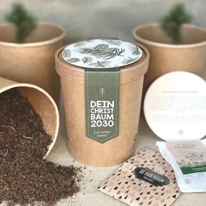 Dein Weihnachtsbaum 2030 - pflanz deinen eigenen Weihnachtsbaum