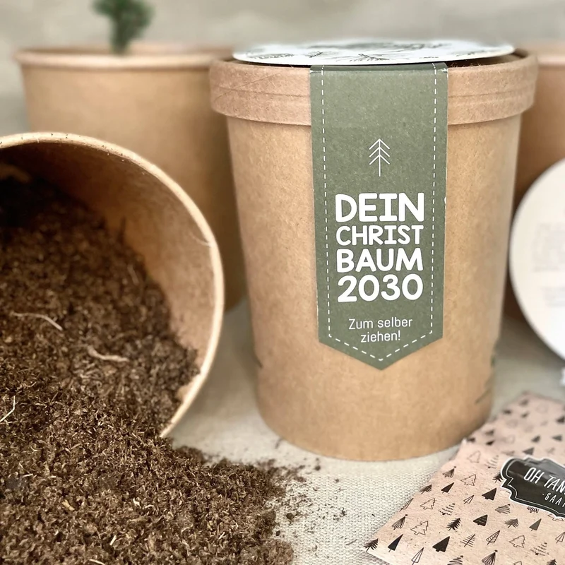 Dein Weihnachtsbaum 2030 - pflanz deinen eigenen Weihnachtsbaum