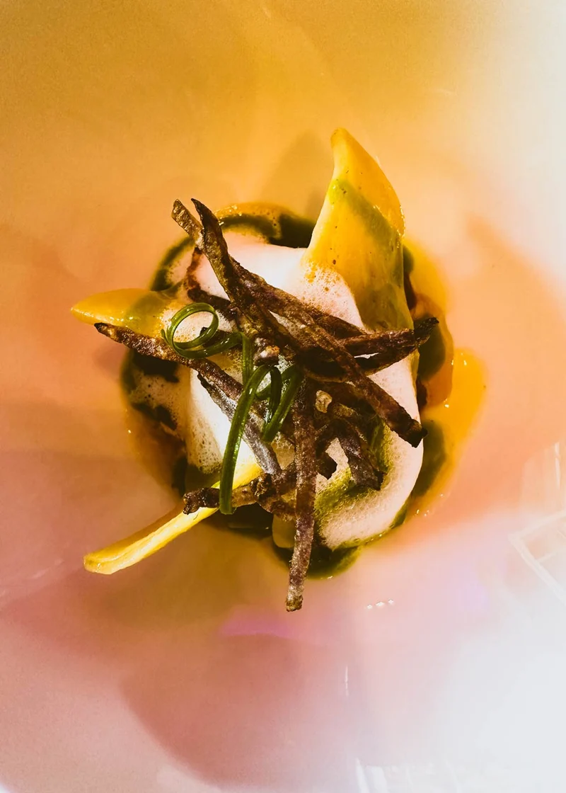 BioEss Apfelessig Kanister gefiltert vegan