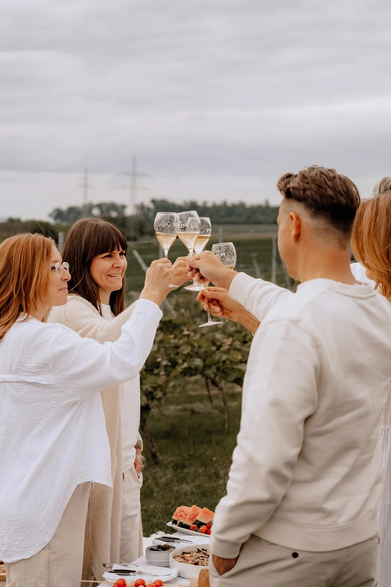 POMP Bio-Aperitif 0,0 alkoholfrei Feinherb Kiste