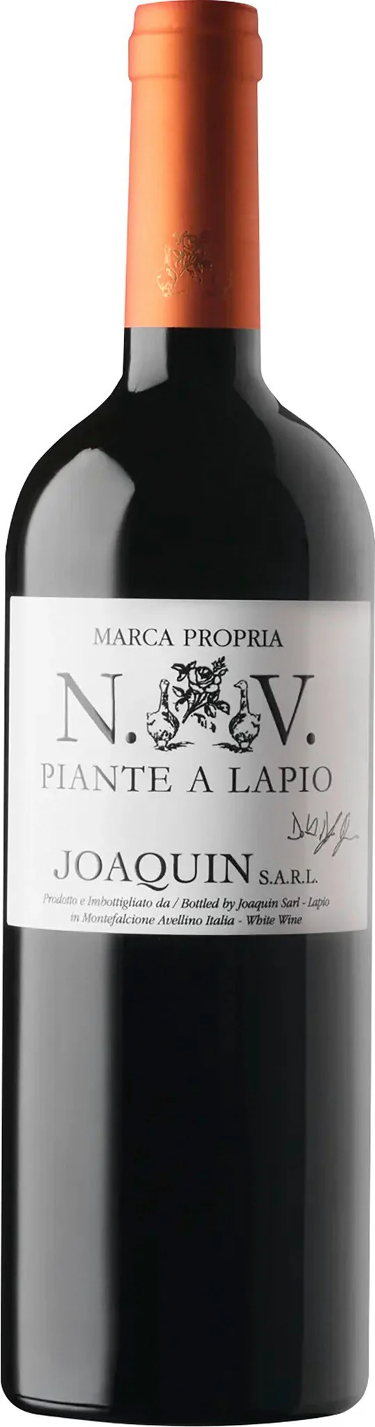 Joaquin N.V. Piante a Lapio Fiano Campania IGT