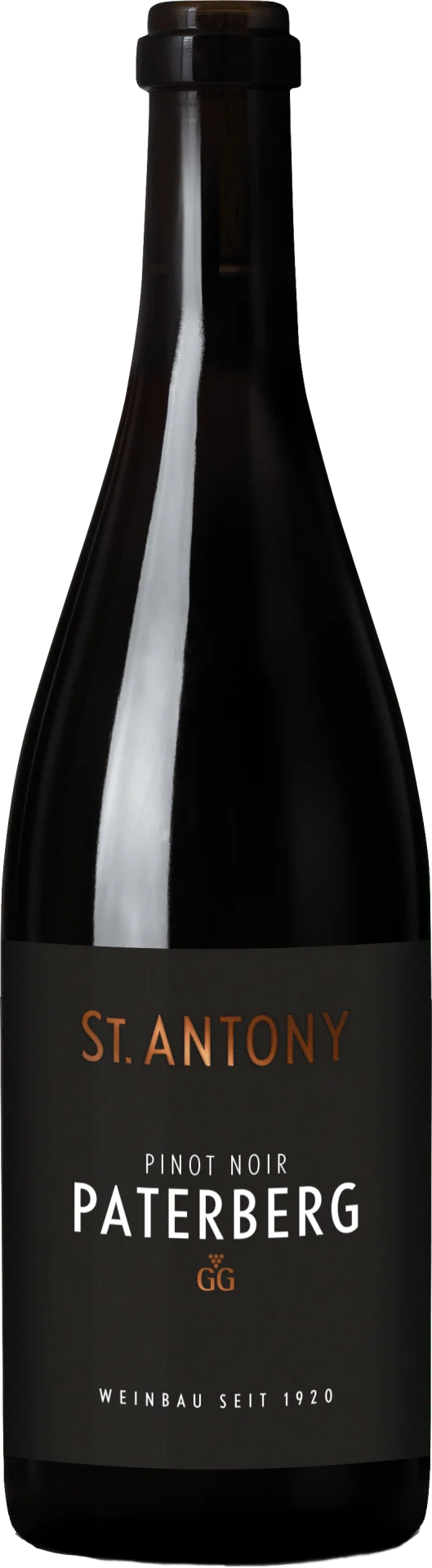 Pinot Noir Niersteiner Paterberg GG