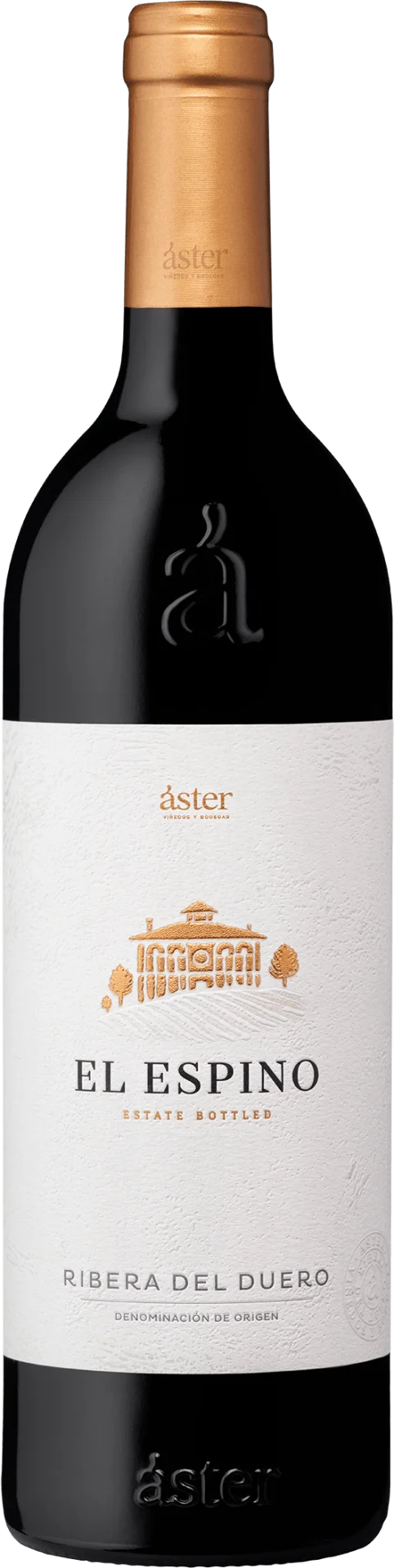 Áster El Espino