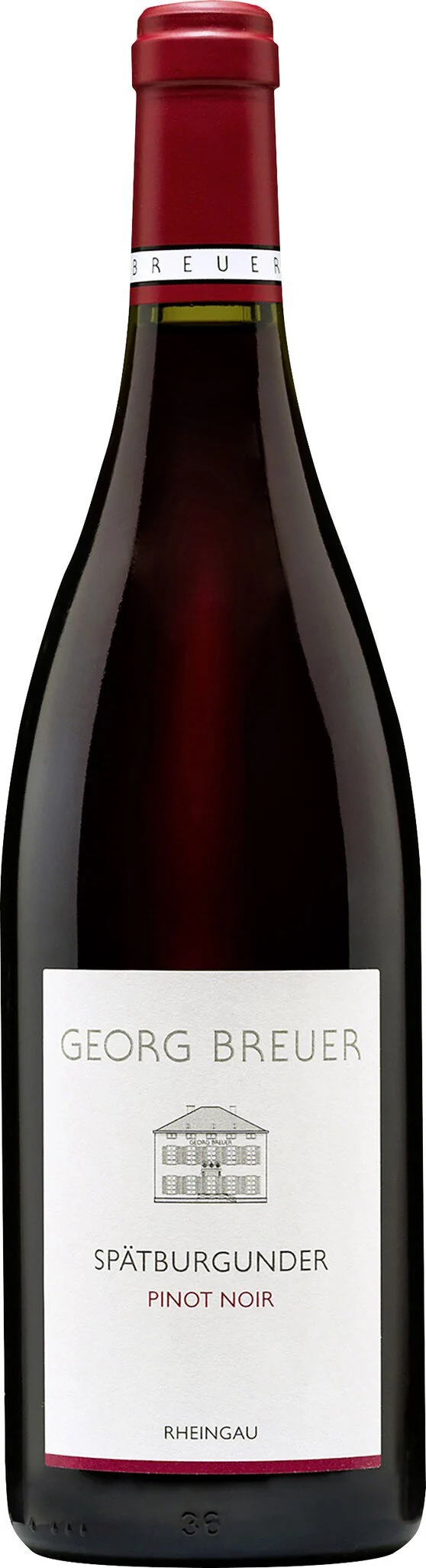 Spätburgunder Pinot Noir QW Rheingau