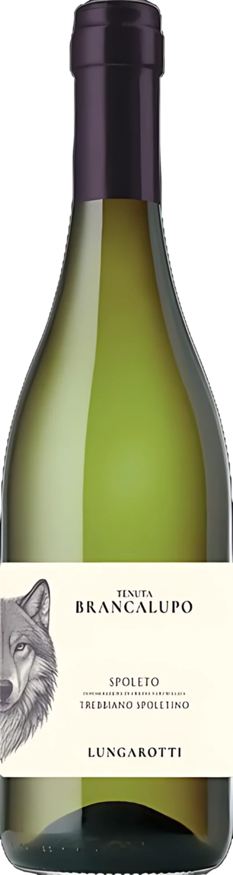 Spoleto Trebbiano Spoletino DOC Umbrien