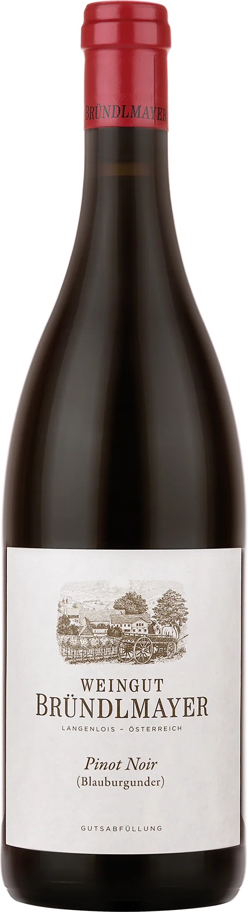 Bründlmayer Pinot Noir