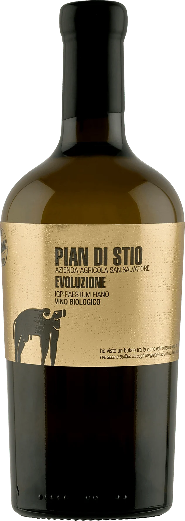 Pian di Stio Evoluzione Fiano