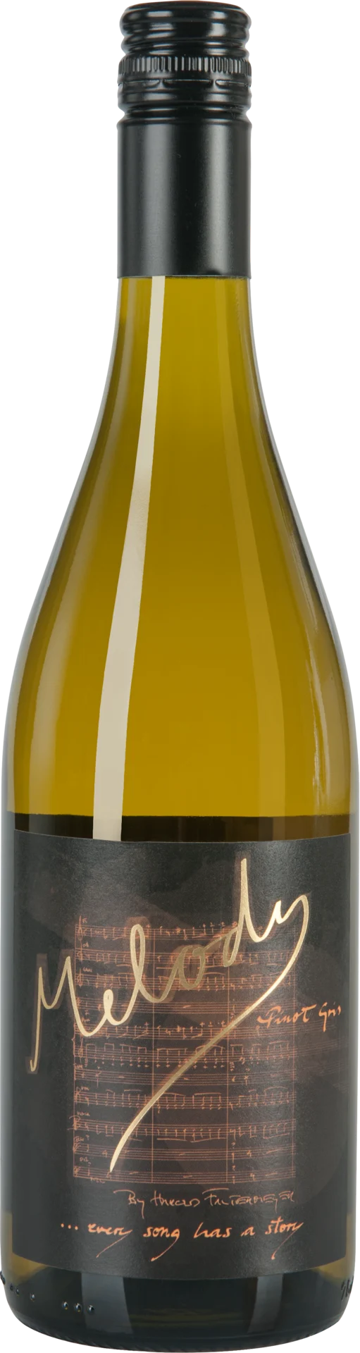 Weinhaus Disibodenberg Melody Pinot Gris by Harold Faltermeyer