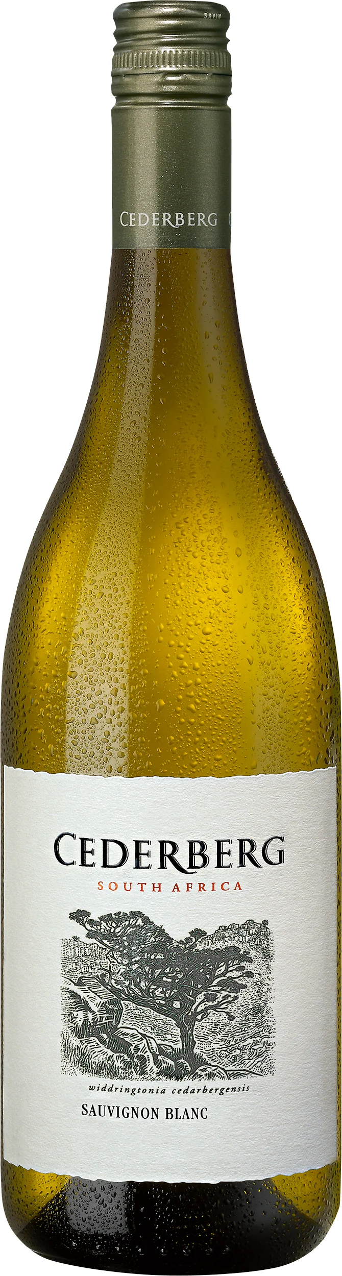Cederberg Sauvignon Blanc