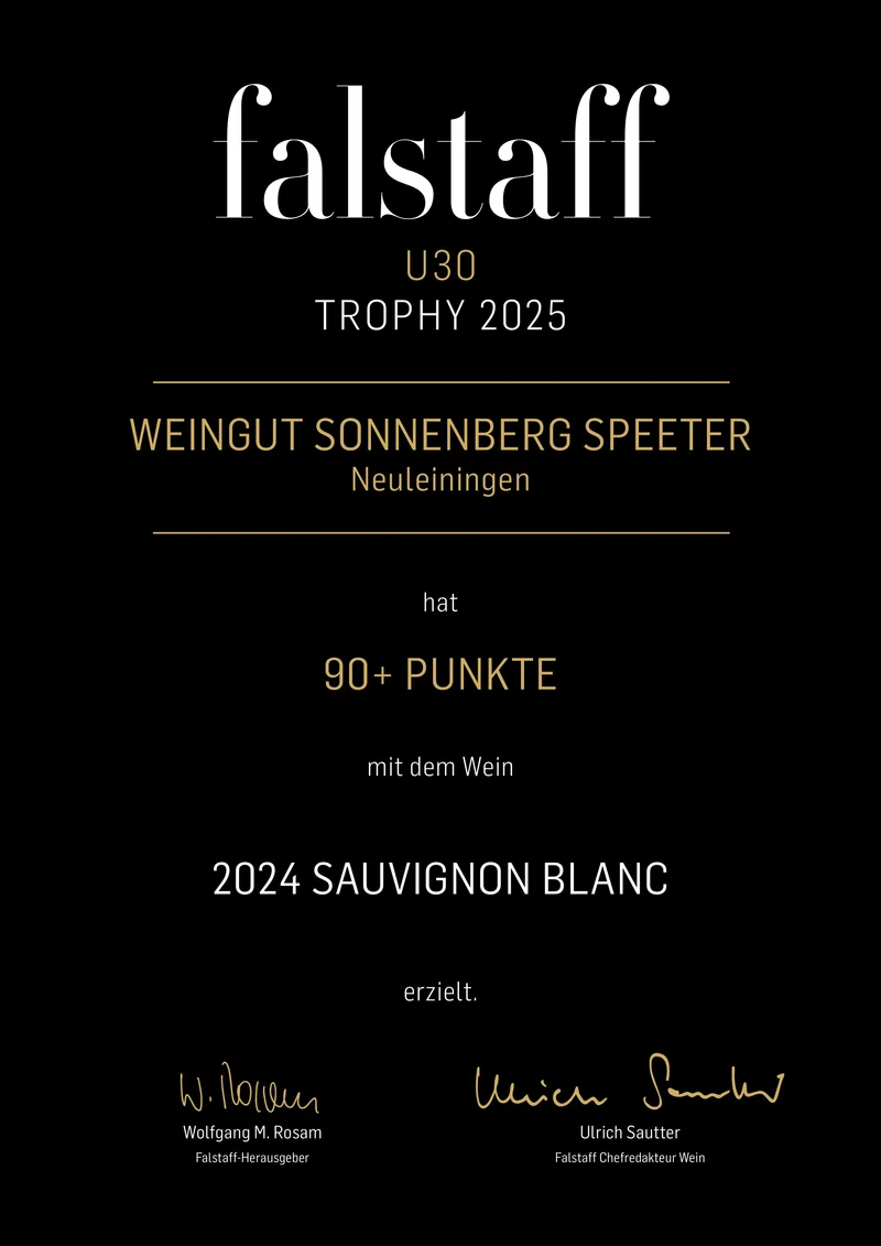 2025 Sauvignon Blanc trocken