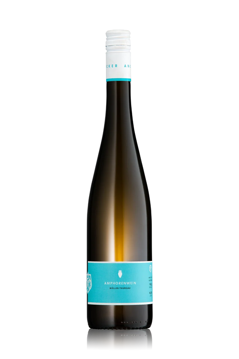 Müller-Thurgau Amphore