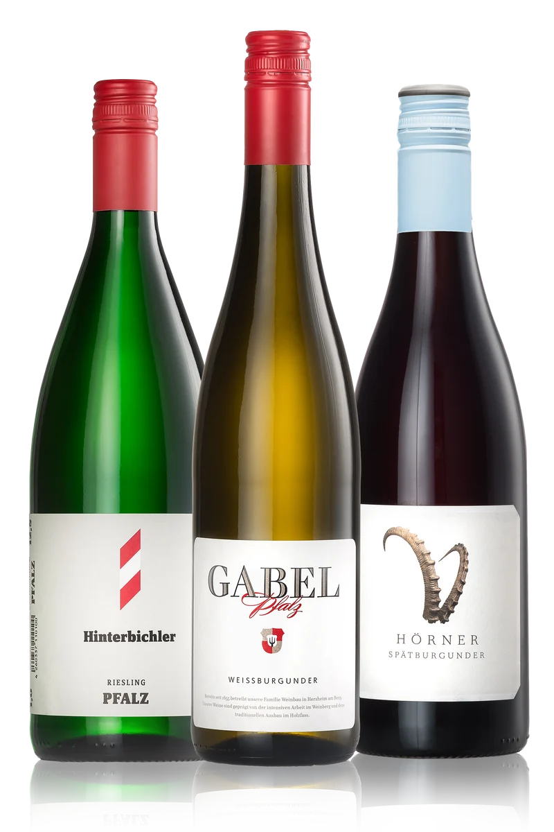 Winecation: Pfalz