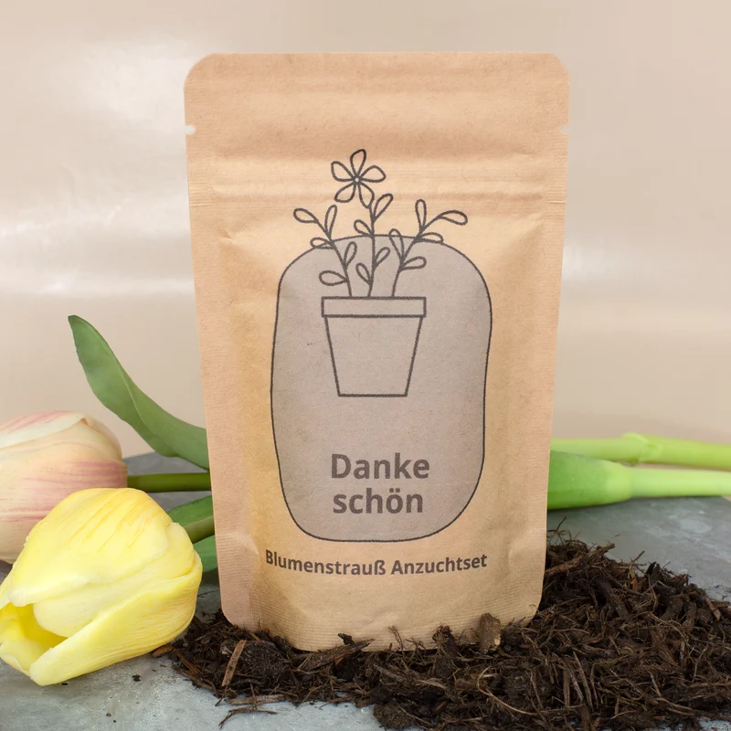 Anzuchtset - Danke schön Geschenk pflanzfertig
