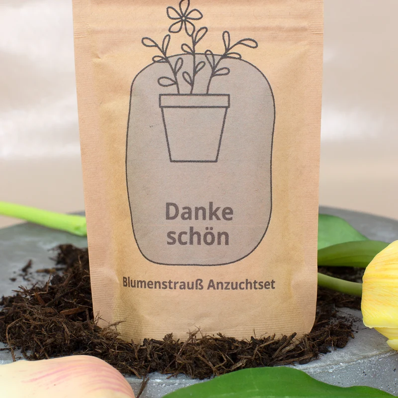 Anzuchtset - Danke schön Geschenk pflanzfertig