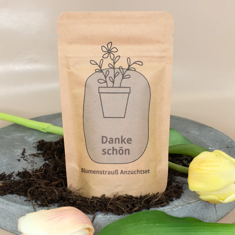 Anzuchtset - Danke schön Geschenk pflanzfertig