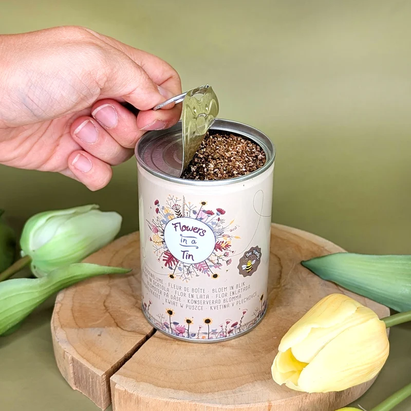 Blumenwiese in der Dose – bunte Auswahl an Blumensamen zum Selberziehen!