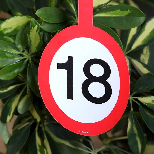 Papiergirlande Verkehrsschild 18