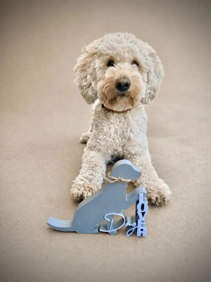 Dog Lover Deko Aufsteller – Liebevolles Hunde Design aus dem 3D Druck